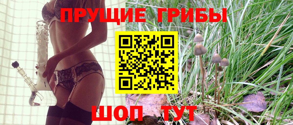 Галлюциногенные грибы прущие грибы  Вход с VPN  Нижнекамск 