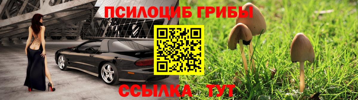 Псилоцибиновые грибы ЛСД Нижнекамск